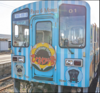 団体の写真です