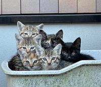 団体の写真です