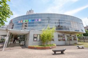 わんぱーく画像