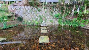 三寒泉の一つ大井の画像