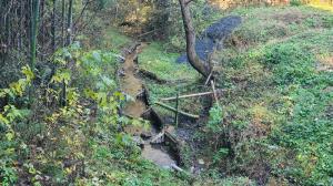 渡里湧水群の画像１