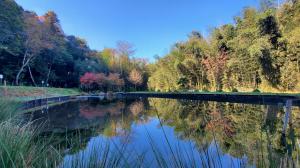 渡里湧水群の画像２