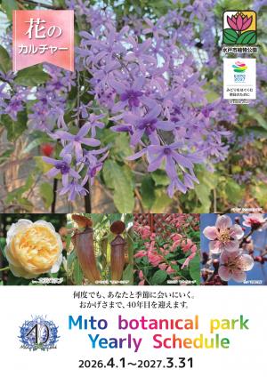 花のカルチャー