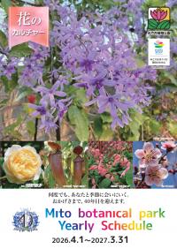 花のカルチャー