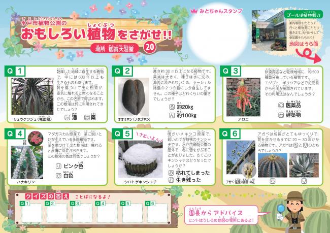 クイズラリー20