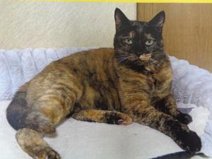 逸走797全身写真