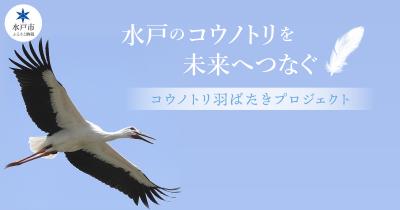 プロジェクトタイトル画像