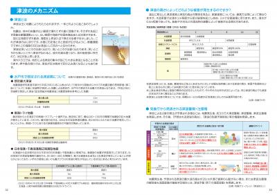 津波ハザードマップ情報面