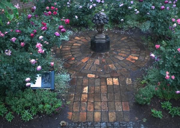 秘密の花苑のバラ