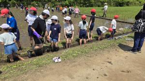 田植えを終えて