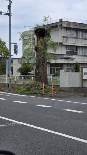 選定作業中