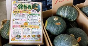 かぼちゃ