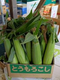 とうもろこし