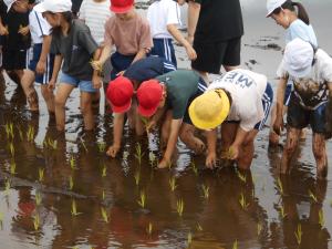 田植えの様子1