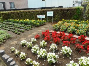 花壇コンクール4