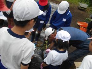 インストラクターさんのお手本を見学する子どもたち