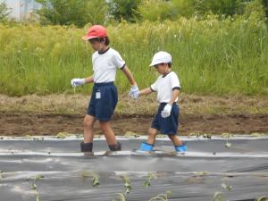 手を繋いで歩く1年生と6年生