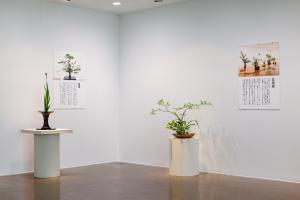 第57回水戸市芸術祭いけばな展のパネル展の様子3