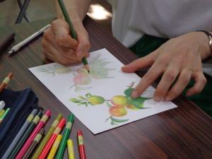 講師が色鉛筆で描いている手元の写真です。