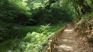 せせらぎの道の写真