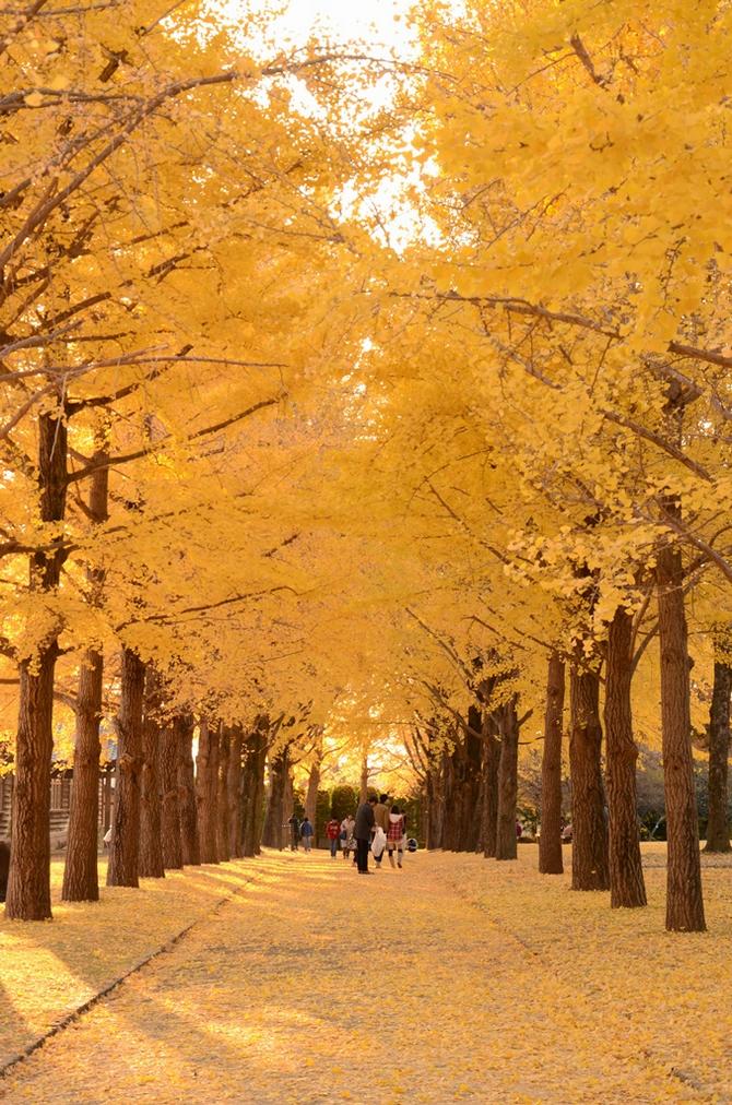 歴史館の庭