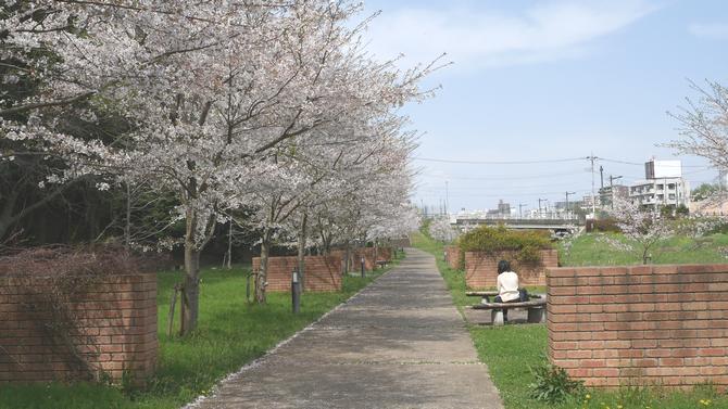 逆川