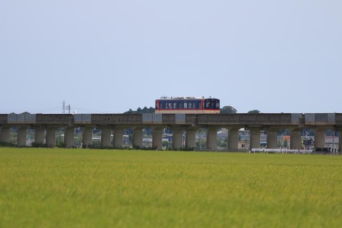 常澄田園