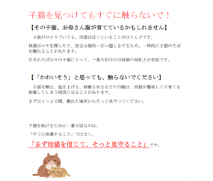 子猫を見つけてもすぐに触らないで!