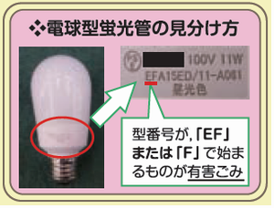 電球型蛍光管の見分け方の画像