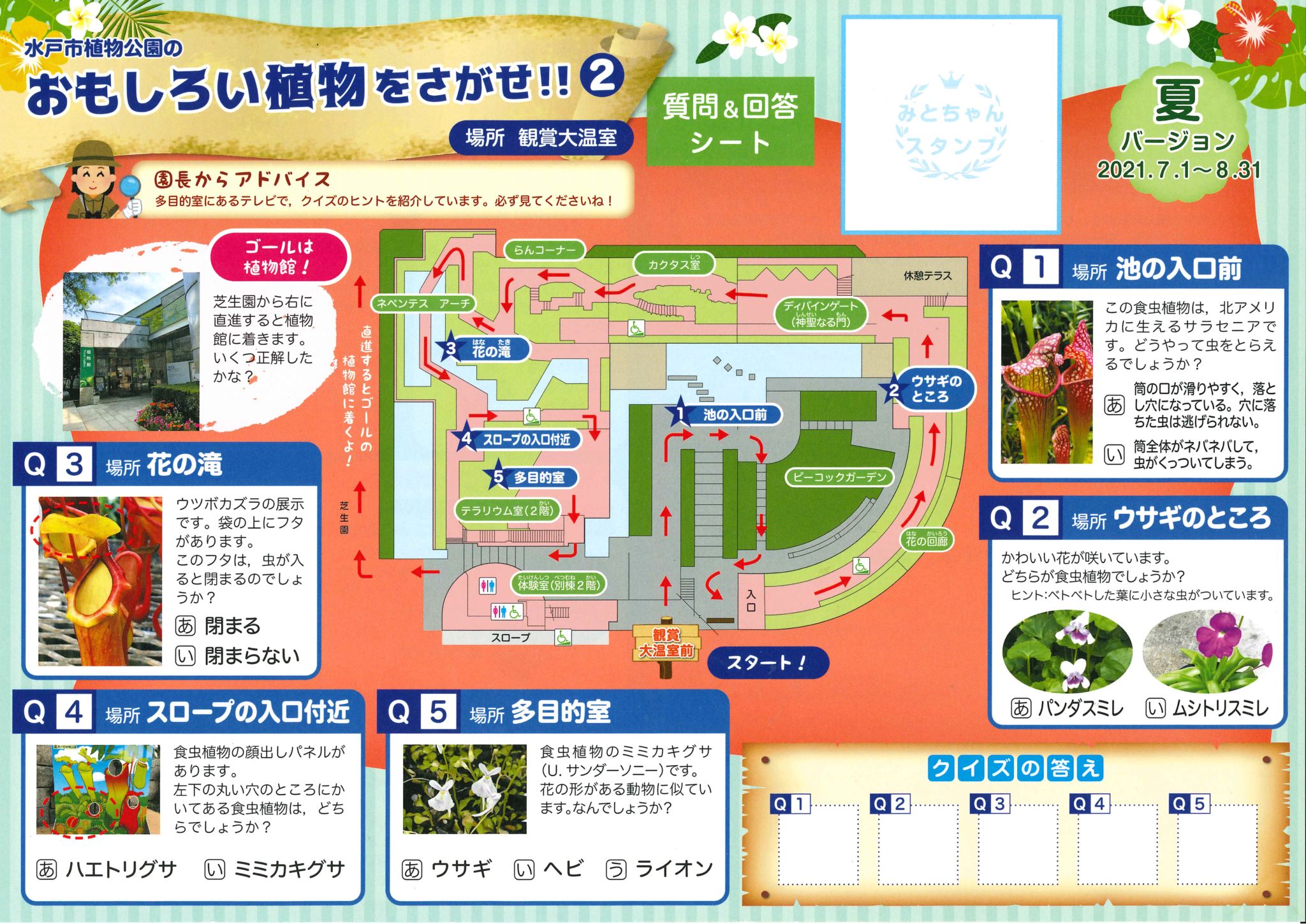 大温室の不思議植物 食虫植物の画像2