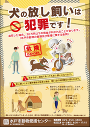 犬の放し飼い