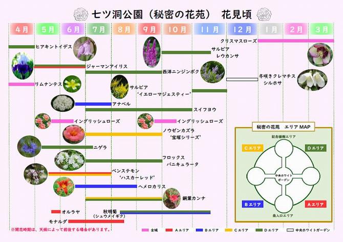 年間の花見頃の画像