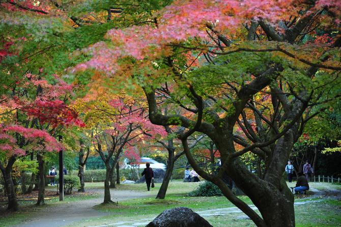 もみじ谷（偕楽園）