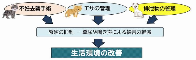 活動により期待される効果の画像