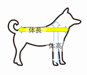 特定犬の大きさ