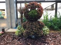 猫の立体花壇の画像