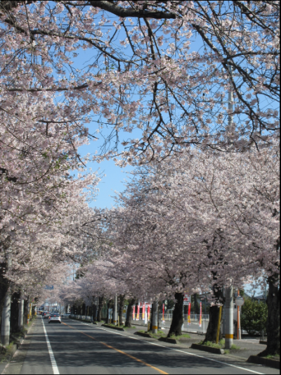 吉沢地区自治連合会の写真です