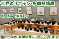 世界のサボテン・多肉植物展の画像