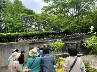 フラワーツアー