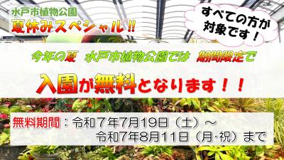 夏休みスペシャル