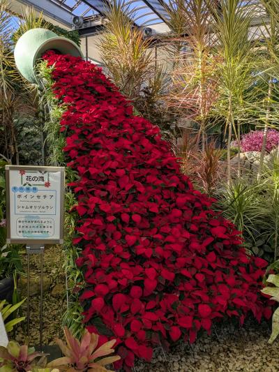ポインセチアの滝