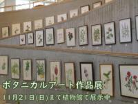 ボタニカルアート作品展の画像