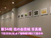 花の会茨城 写真展の画像