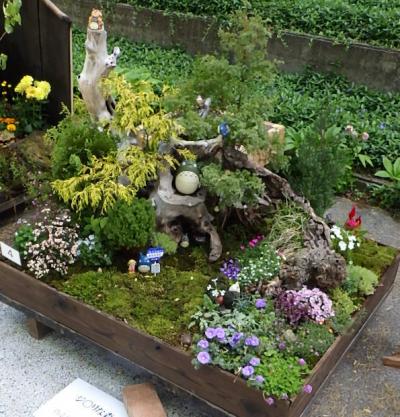 市民植木まつり