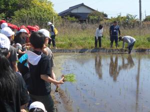 田植えの方法を教わる子どもたち