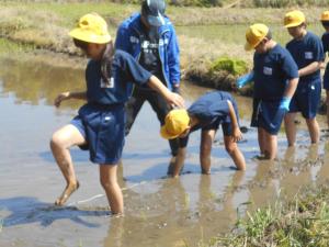 田植えをする子どもたちの様子(2)