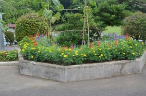 花壇の花の様子