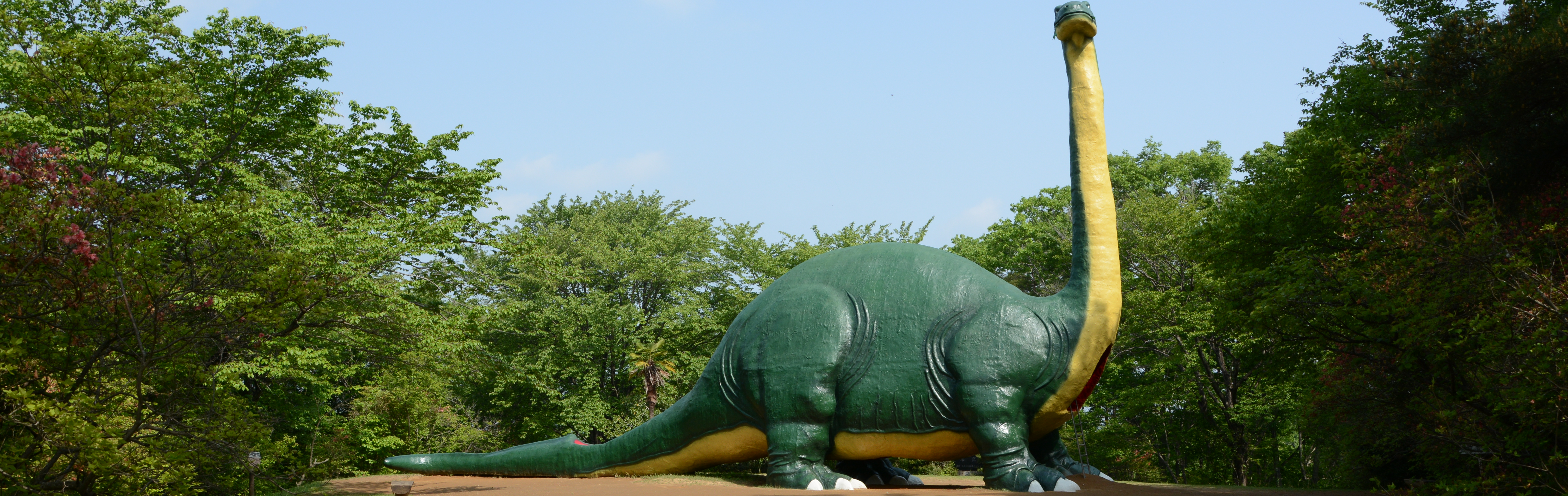 森林公園のタイトル画像